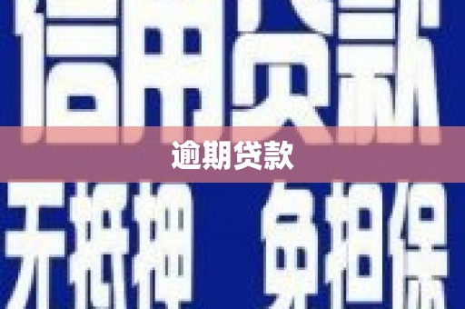 大朗逾期贷款