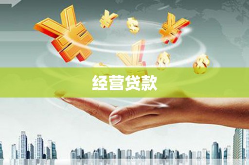 大朗经营贷款