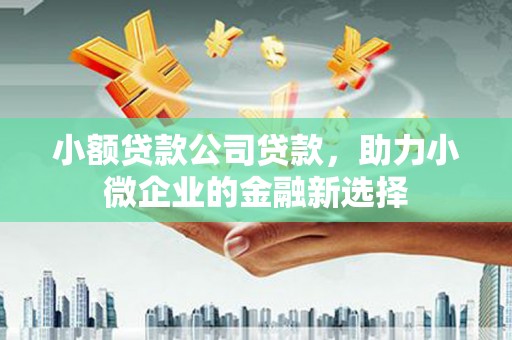 大朗小额贷款公司贷款，助力小微企业的金融新选择
