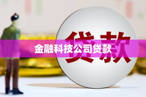 大朗金融科技公司贷款