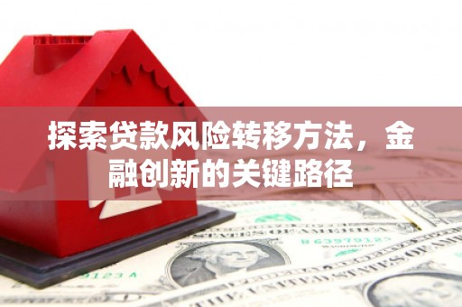 大朗探索贷款风险转移方法，金融创新的关键路径