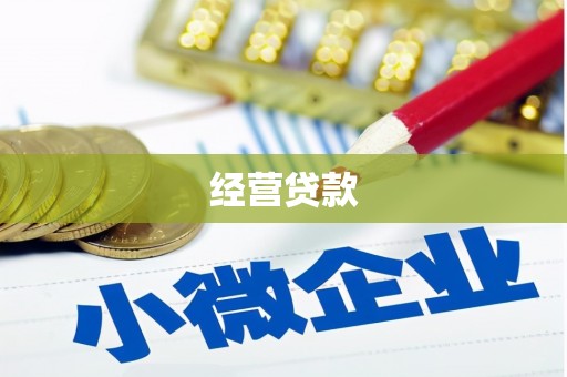 大朗经营贷款