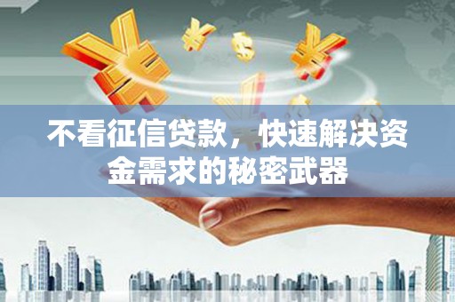 大朗不看征信贷款，快速解决资金需求的秘密武器