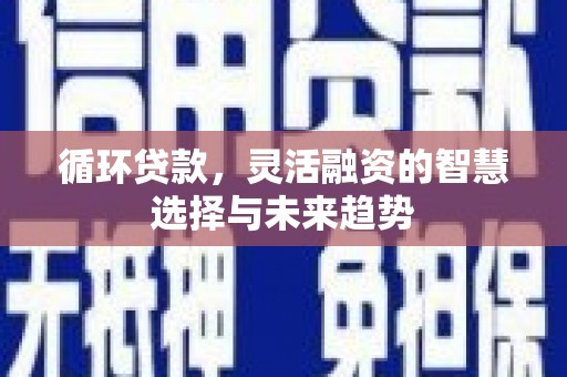 大朗循环贷款，灵活融资的智慧选择与未来趋势