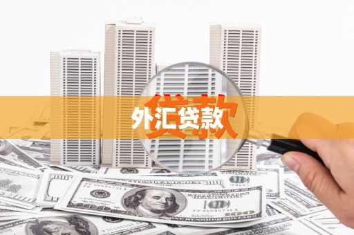大朗外汇贷款