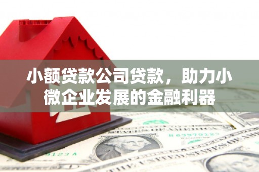 大朗小额贷款公司贷款，助力小微企业发展的金融利器