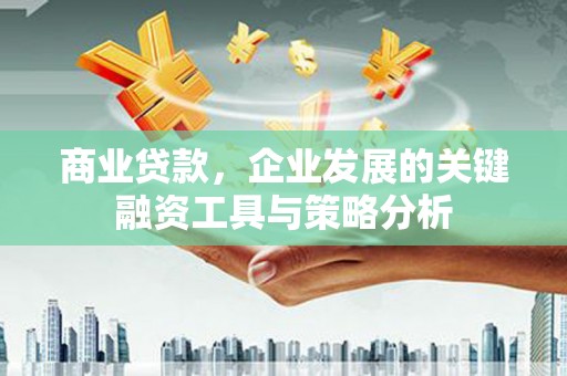 大朗商业贷款，企业发展的关键融资工具与策略分析