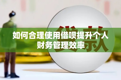 大朗如何合理使用借呗提升个人财务管理效率