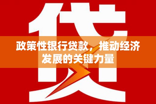 大朗政策性银行贷款，推动经济发展的关键力量