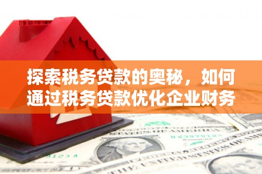 大朗探索税务贷款的奥秘，如何通过税务贷款优化企业财务