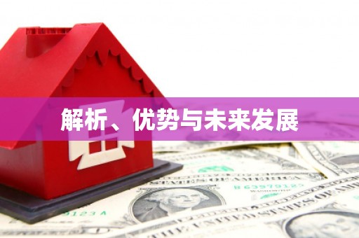 大朗解析、优势与未来发展