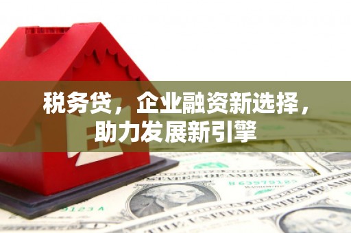大朗税务贷，企业融资新选择，助力发展新引擎