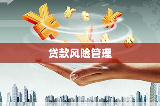 大朗贷款风险管理