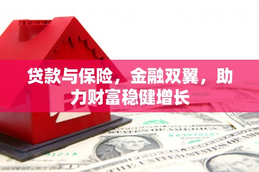 大朗贷款与保险，金融双翼，助力财富稳健增长