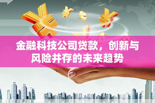 大朗金融科技公司贷款，创新与风险并存的未来趋势