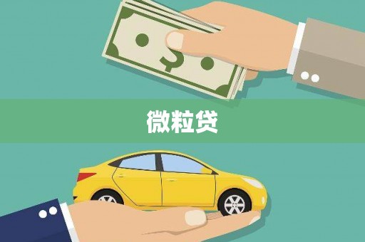 大朗微粒贷