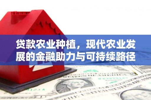 大朗贷款农业种植，现代农业发展的金融助力与可持续路径