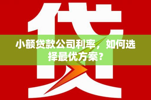 大朗小额贷款公司利率，如何选择最优方案？
