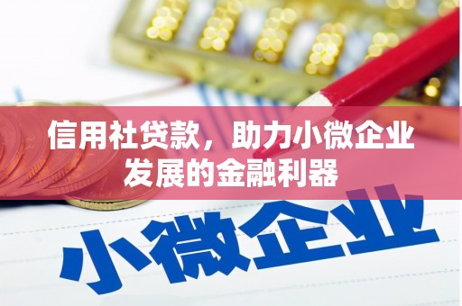 大朗信用社贷款，助力小微企业发展的金融利器