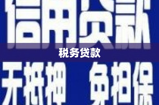 大朗税务贷款
