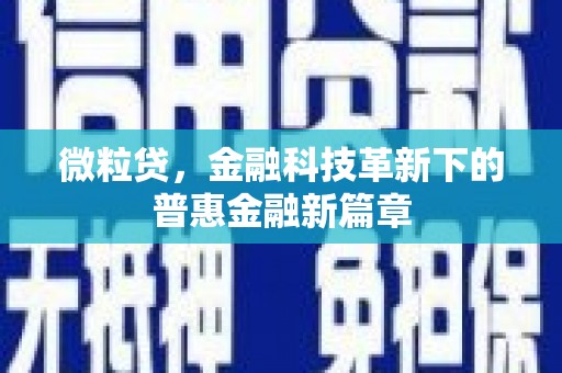 大朗微粒贷，金融科技革新下的普惠金融新篇章