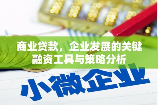 大朗商业贷款，企业发展的关键融资工具与策略分析
