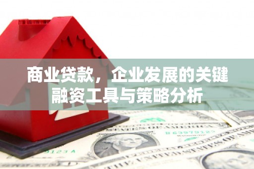 大朗商业贷款，企业发展的关键融资工具与策略分析