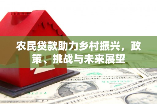 大朗农民贷款助力乡村振兴，政策、挑战与未来展望
