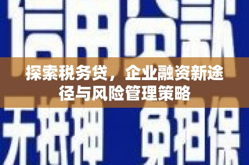 大朗探索税务贷，企业融资新途径与风险管理策略
