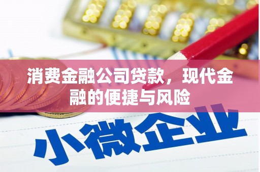 大朗消费金融公司贷款，现代金融的便捷与风险