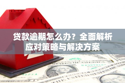 大朗贷款逾期怎么办？全面解析应对策略与解决方案