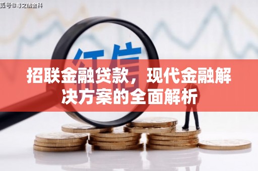 大朗招联金融贷款，现代金融解决方案的全面解析