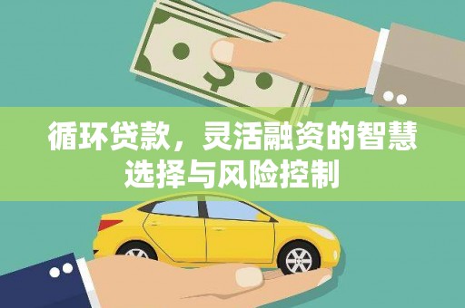 大朗循环贷款，灵活融资的智慧选择与风险控制