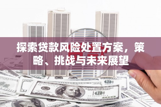 大朗探索贷款风险处置方案，策略、挑战与未来展望