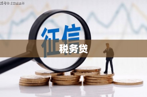 大朗税务贷