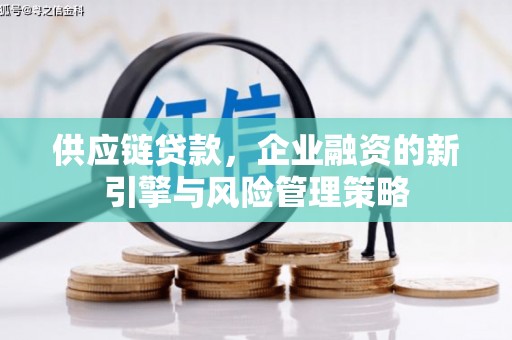 大朗供应链贷款，企业融资的新引擎与风险管理策略
