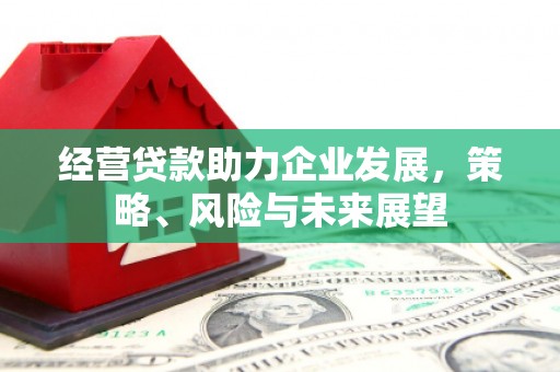 大朗经营贷款助力企业发展，策略、风险与未来展望