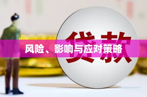 大朗风险、影响与应对策略