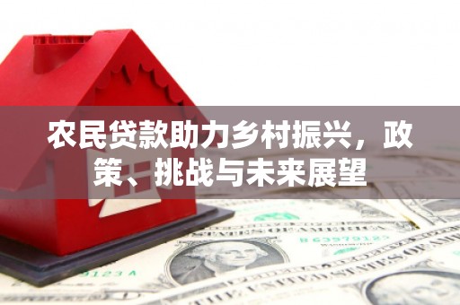 大朗农民贷款助力乡村振兴，政策、挑战与未来展望