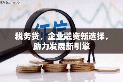 大朗税务贷，企业融资新选择，助力发展新引擎