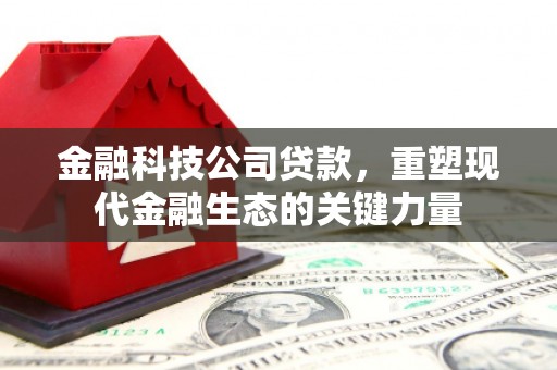 大朗金融科技公司贷款，重塑现代金融生态的关键力量