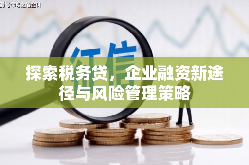 大朗探索税务贷，企业融资新途径与风险管理策略