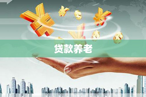 大朗贷款养老