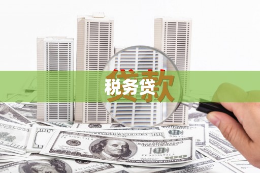大朗税务贷