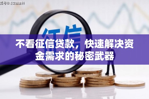 大朗不看征信贷款，快速解决资金需求的秘密武器