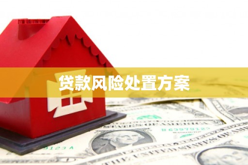 大朗贷款风险处置方案