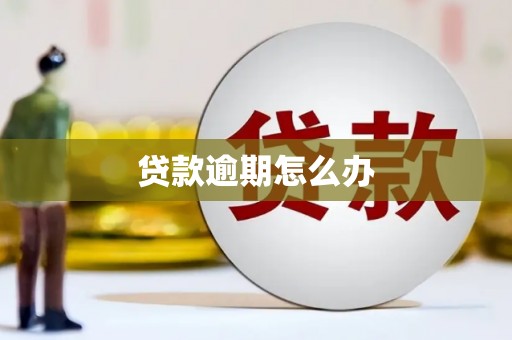 大朗贷款逾期怎么办