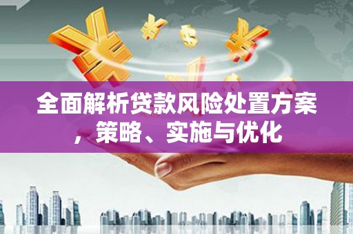 大朗全面解析贷款风险处置方案，策略、实施与优化