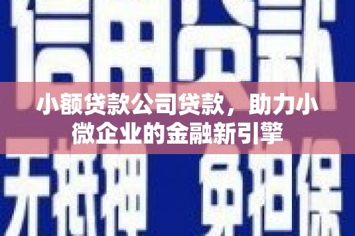 大朗小额贷款公司贷款，助力小微企业的金融新引擎