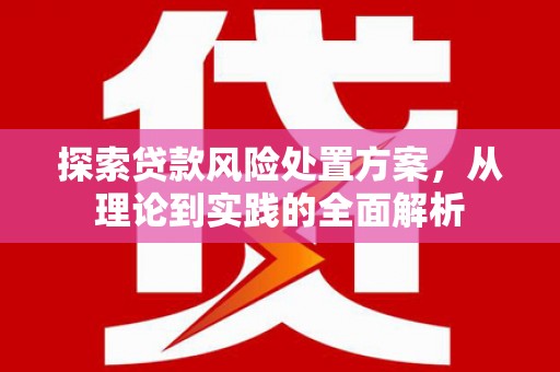 大朗探索贷款风险处置方案，从理论到实践的全面解析